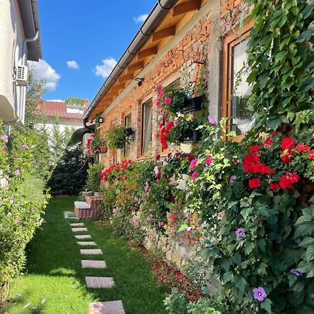 Flower House In The City Center! Prishtine Bagian luar foto