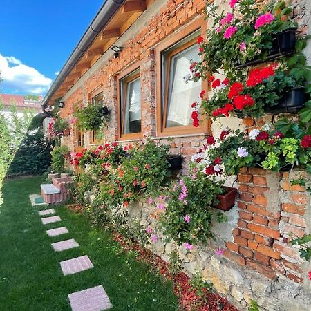 Flower House In The City Center! Prishtine Bagian luar foto